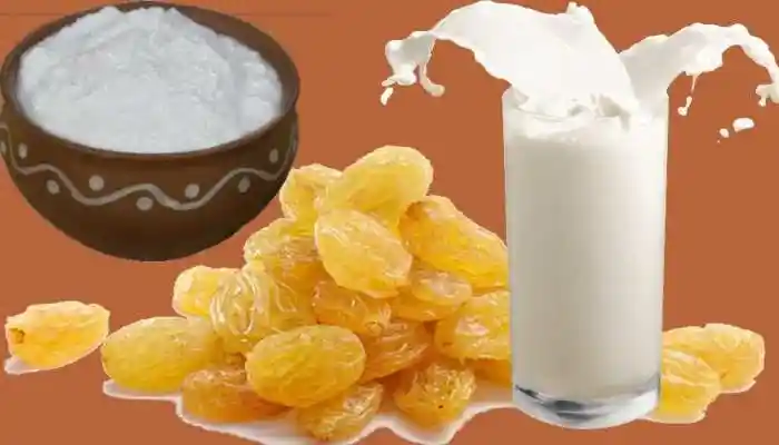 दूध-किशमिश और दही-किशमिश का सेवन से  होने वाले फायदे ।